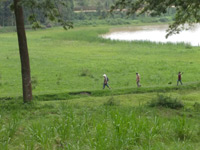 Royal Trail