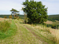 Rund um den Rommelsberg