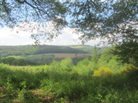 Saar-Leuktal-Panorama