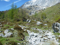 SalzAlpenTour Jochalm