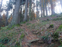 SalzAlpenTour Nesslangeralm
