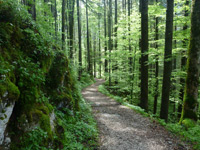 SalzAlpenTour Ramsauer Schattseitweg