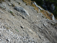 SalzAlpenTour Reichenhaller Panoramatour