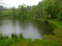 Schönwies
