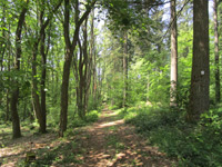 Sonnenrunde