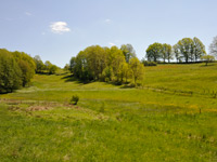 Karlstalschlucht