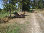 druidenpfad