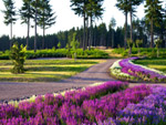 gartenlust