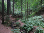 Lochbachpfad