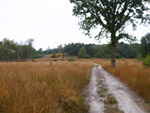 Pietersheim Heide Route