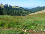 turmsteig