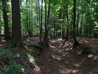 Thalachtal Panoramaweg