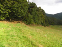 Ums Dorf Kleinern