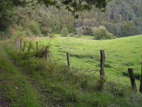 Ums Dorf Kleinern