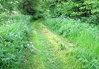 Wanderwunsch Wanderweg
