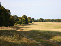 Vorgeschichtsweg