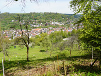 Waldklingen