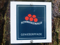 Markierung Waldpfad Groppertal