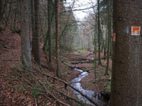 Waldschluchtenweg