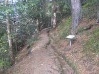 Wasserläufer Stuibenfall