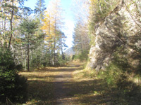Wasserläufer Stuibenfall