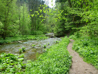 WasserWeltenSteig