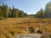 Wiesbüttmoor & Flörsbacher Panorama