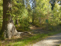 Wiesbüttmoor & Flörsbacher Panorama