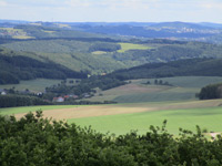 Zauberwald