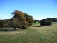 Zollernburg-Panorama